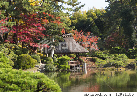 Fall scenery in autumn 12981190