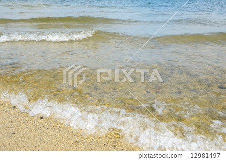 琵琶湖 琵琶湖 12981497