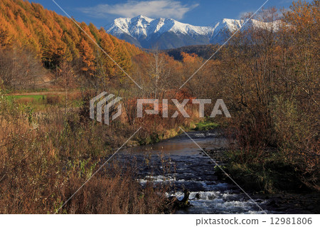 Fall in Hokkaido 12981806