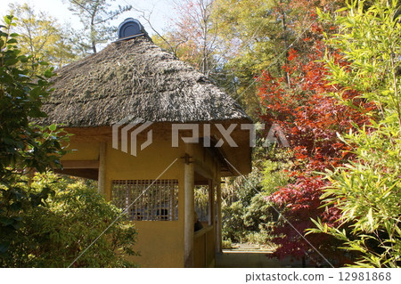 一個帶小偷的建築物 12981868