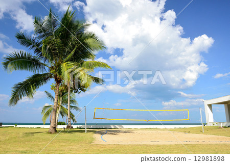 The beach volleyball field. 12981898