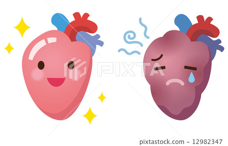 Illustration of organs Heart 12982347