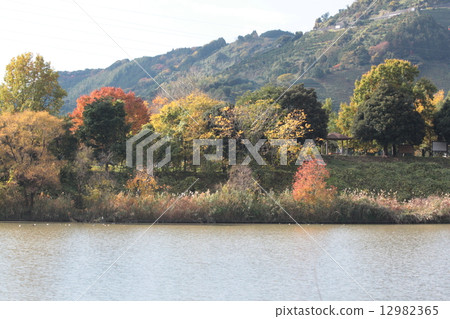 Late autumn hemp valley 12982365