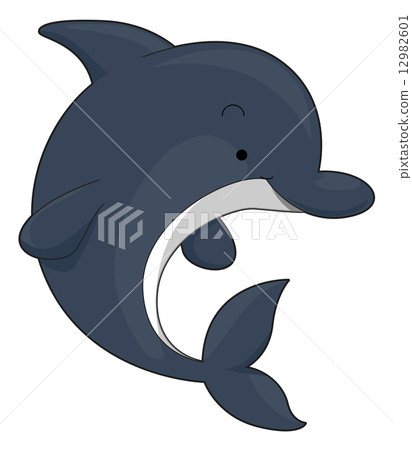 Cute Dolphin 12982601