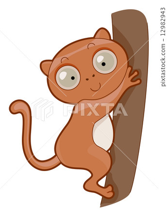 Cute Tarsier 12982943