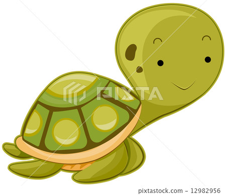 Cute Sea Turtle 12982956