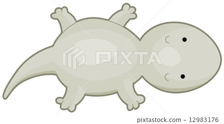 Cute House Lizard Cute House Lizard 12983176