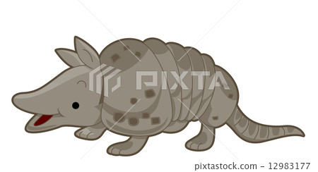 Armadillo 12983177