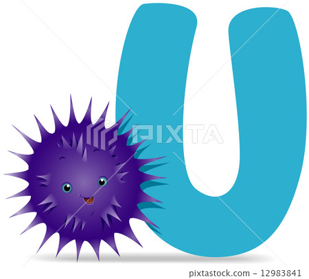 U for Urchin - Stock Illustration [12983841] - PIXTA