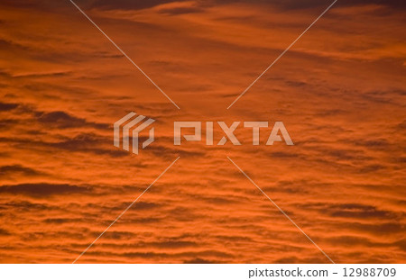 background background 12988709