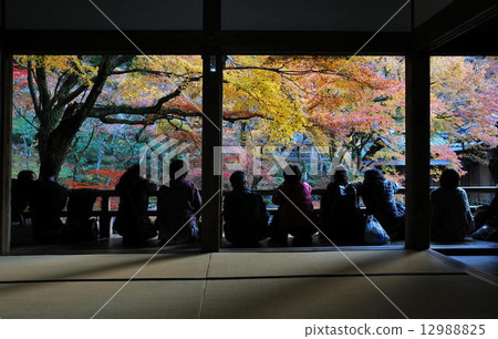 Dazaifu Mitsuaki Zenji Dazaifu Mitsuaki Zenji 12988825