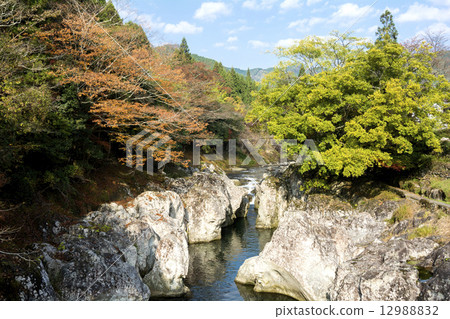 Yayaki·Sarutobi Chitosegu的秋葉 Yayaki·Sarutobi Chitosegu的秋葉 12988832