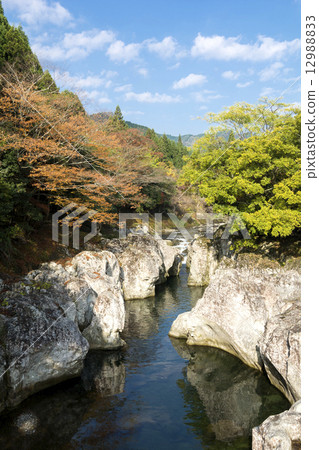 Yayaki·Sarutobi Chitosegu的秋葉 Yayaki·Sarutobi Chitosegu的秋葉 12988833