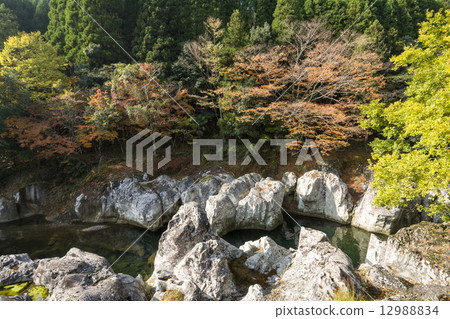 Yayaki·Sarutobi Chitosegu的秋葉 Yayaki·Sarutobi Chitosegu的秋葉 12988834
