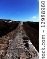 Wild Great Wall 12988960