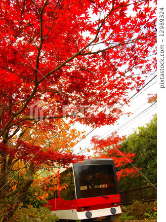 箱根攀登纜車和秋葉 12989324
