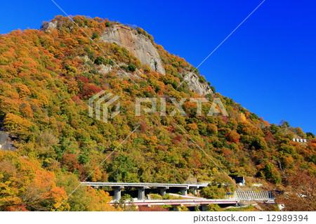 Autumn leaves of Mt. Iwasumi Autumn leaves of Mt. Iwasumi 12989394