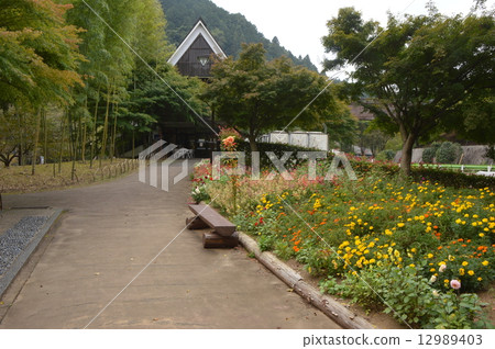 Autumn of Hachioji City Enlightenment Autumn of Hachioji City Enlightenment 12989403