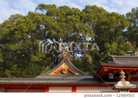 Kumano Hayatake Taisha Shrine Roof Thiki 12989501