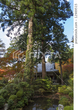 Autumn's 3 thousand-in-the-mouth monument 12989515