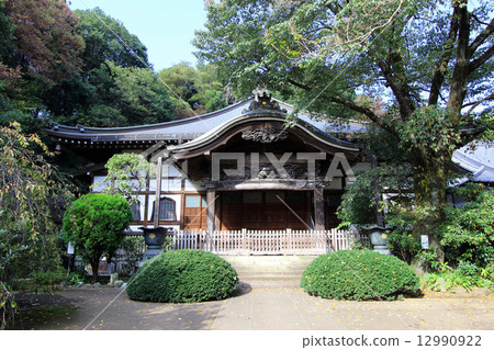 武藏國分寺正殿 12990922