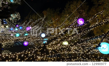 照明2014  -  15 12990977