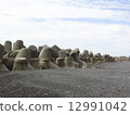 Tetrapod 003 12991042