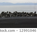 Tetrapod 007 12991046