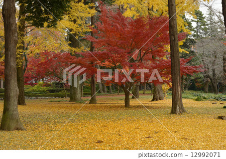 秋裝 秋裝 12992071