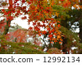 在Kinu秋天的區域 12992134