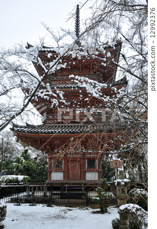 冬天在京都Hojoji寺 12992376