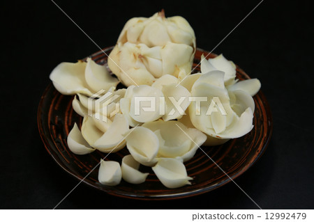 Lily root 12992479