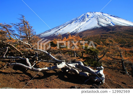 Landscape Mt. Fuji Fall Photo 12992569