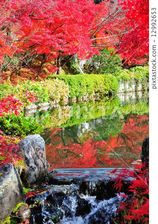 京都Eikan-do的秋天 12992653