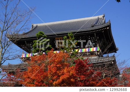 Kyoto · Kim command of the period of autumn leaves The gates of Komyo temple 12992688