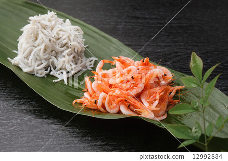 Kamenji Shirasu and Sakura Shrimp 12992884