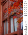 深秋 12992974