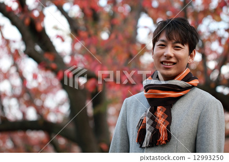 1 man (Autumn leaves autumn dead tree dead tree dead leaves dead leaves casual coat muffler) 1 man (Autumn leaves autumn dead tree dead tree dead leaves dead leaves casual coat muffler) 12993250