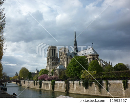 巴黎圣母院 12993367