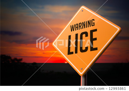Lice on Warning Road Sign. - Stock Illustration [12993861] - PIXTA