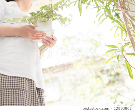 女性生活方式 女性生活方式 12993962