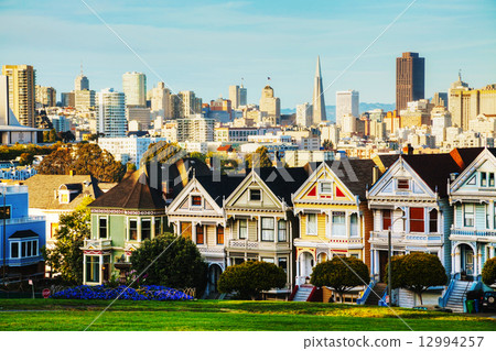 San Francisco cityscape as seen from Alamo square park San Francisco cityscape as seen from Alamo square park 12994257