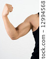 身體部位·手臂（垂直） 12994568