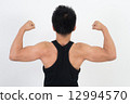 身體部位·背部 12994570