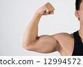 身體部位·手臂（側身） 12994572