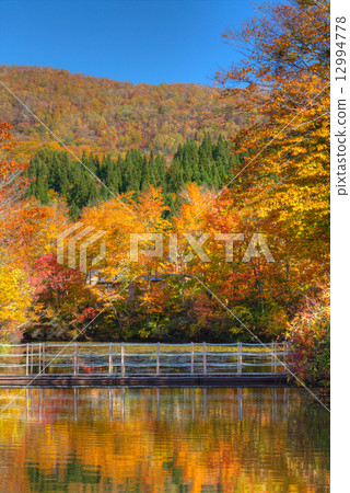 Autumn leaves of Jizo swamp 12994778
