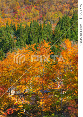 Jizo沼澤秋葉 12994779