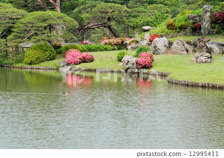 Ssukkei花的鮮豔粉紅色和湖面上的風景 12995411