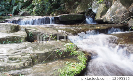 Iriomote瀑布 12995555