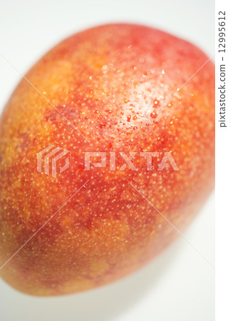 mango  12995612